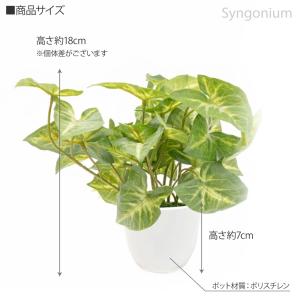 フェイクグリーン 観葉植物 人工観葉 卓上 ミ...の詳細画像4