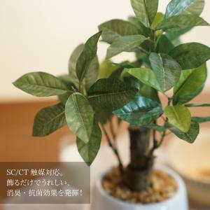 フェイクグリーン ミニ 卓上 人工 観葉植物 ...の詳細画像1