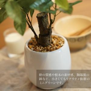 フェイクグリーン ミニ 卓上 人工 観葉植物 ...の詳細画像2