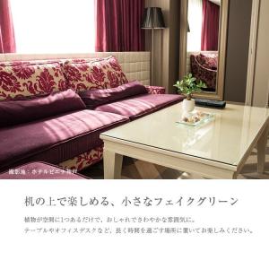 フェイクグリーン ミニ 卓上 人工 観葉植物 ...の詳細画像3