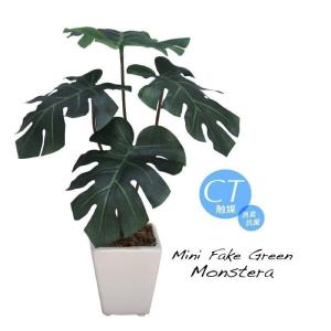 フェイクグリーン ミニ モンステラ 人工観葉植物 造花 CT触媒