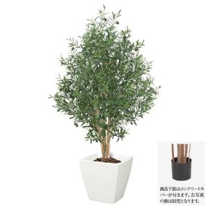 観葉植物 造花 オリーブツリー M 150cm ナチュラルトランク 人工観葉植物 G L 光触媒 通常便なら送料無料 Ct触媒 大型 インテリア フェイクグリーン