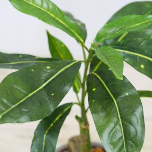 フェイクグリーン 観葉植物 人工観葉 卓上 ミ...の詳細画像1
