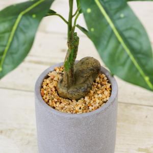 フェイクグリーン 観葉植物 人工観葉 卓上 ミ...の詳細画像2