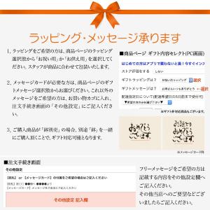 フェイクグリーン 卓上 観葉植物 ベンジャミン...の詳細画像4