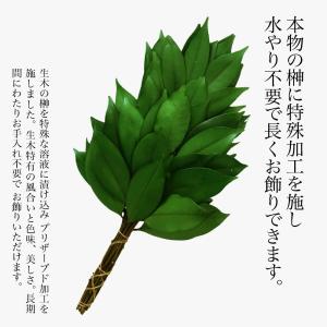 榊 プリザーブドフラワー 造花 枯れない 天然...の詳細画像1