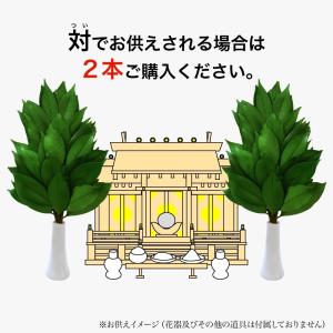 榊 プリザーブドフラワー 造花 枯れない 天然...の詳細画像3