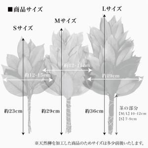 榊 プリザーブドフラワー 造花 枯れない 天然...の詳細画像5