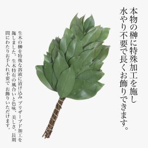 榊 プリザーブドフラワー 造花 枯れない 天然...の詳細画像1
