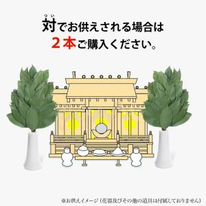 榊 プリザーブドフラワー 造花 枯れない 天然...の詳細画像3