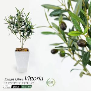 フェイクグリーン オリーブ おしゃれ 人工 観葉植物 光触媒 CT触媒 南欧 北欧 インテリア / イタリアン オリーブ ヴィットーリア 全高70cm 樹脂鉢SSサイズ