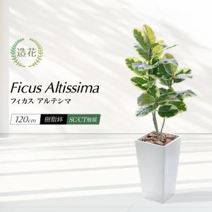 イケア（IKEA） FEJKA/フェイカ 人工観葉植物68 cm アレカヤシ(805.084