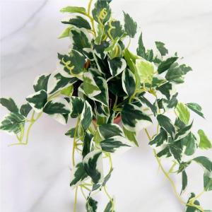 フェイクグリーン 観葉植物 人工観葉 卓上 ミ...の詳細画像1