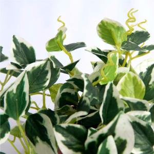 フェイクグリーン 観葉植物 人工観葉 卓上 ミ...の詳細画像2