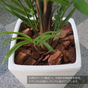 フェイクグリーン 観葉植物 人工観葉 大型 ヤ...の詳細画像1