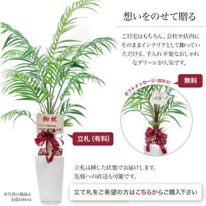 フェイクグリーン 観葉植物 人工観葉 大型 ヤ...の詳細画像5