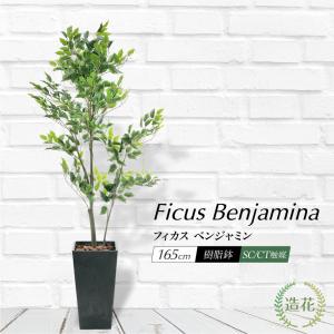 光触媒　人工観葉植物　ウォールグリーン　フィッカスパーテーション150 光触媒人工観葉植物ウォールグリーンフィッカスパーテーション150