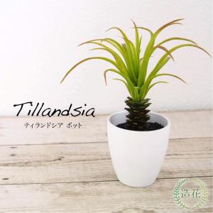 フェイクグリーン チランジア 造花 観葉植物 エアプランツ 光触媒 人工観葉植物 インテリアグリーン かわいい おしゃれ 消臭 / ティランドシア ポット