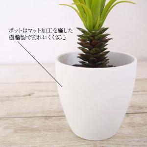 フェイクグリーン チランジア 造花 観葉植物 ...の詳細画像2