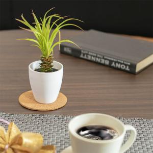 フェイクグリーン チランジア 造花 観葉植物 ...の詳細画像4