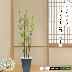 トピアリー・フクロウ（キンメツゲ（金芽ツゲ）） かわいい動物