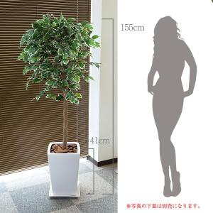 フェイクグリーン 観葉植物 人工観葉 大型 光...の詳細画像2