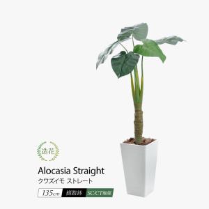 神戸花物語 フェイクグリーン 観葉植物 人工観葉 大型 光触媒 フェイク
