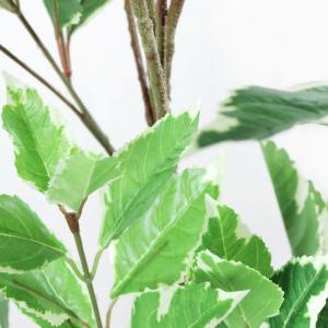 フェイクグリーン 観葉植物 人工観葉 大型 光...の詳細画像1