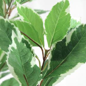 フェイクグリーン 観葉植物 人工観葉 大型 光...の詳細画像2