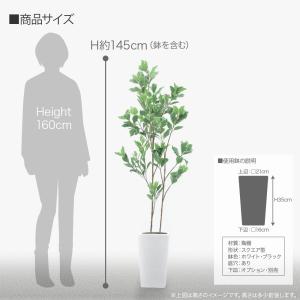 フェイクグリーン 観葉植物 人工観葉 大型 光...の詳細画像5
