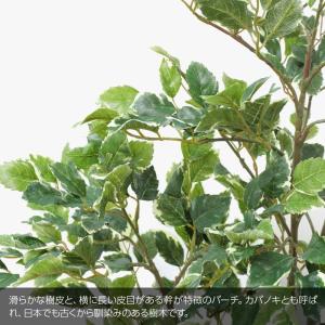フェイクグリーン 観葉植物 人工観葉 大型 光...の詳細画像1