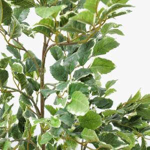 フェイクグリーン 観葉植物 人工観葉 大型 光...の詳細画像2