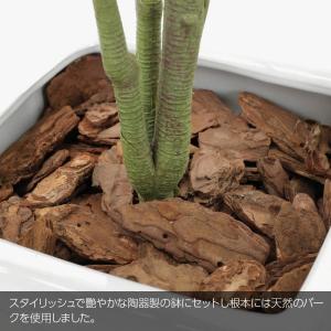 フェイクグリーン 観葉植物 人工観葉 大型 光...の詳細画像4