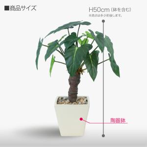 フェイクグリーン 観葉植物 人工観葉 卓上 ミ...の詳細画像4