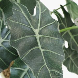 フェイクグリーン 観葉植物 人工観葉 卓上 ミ...の詳細画像1