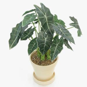 フェイクグリーン 観葉植物 人工観葉 卓上 ミ...の詳細画像2
