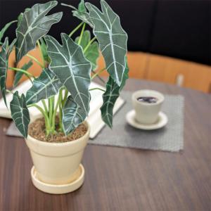 フェイクグリーン 観葉植物 人工観葉 卓上 ミ...の詳細画像4
