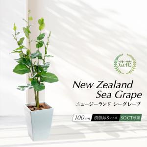 フェイクグリーン 観葉植物 大型 光触媒 造花 おしゃれ インテリア 人工 植物 北欧 西海岸 ct触媒 消臭 リアル / ニュージーランド シーグレープ 樹脂鉢S 100cm