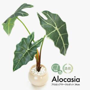 フェイクグリーン 観葉植物 人工観葉 卓上 ミニ 小さい 光触媒 リアル 造花 アロカシア サークルポット 鉢植 陶器鉢 インテリア おしゃれ 消臭 抗菌
