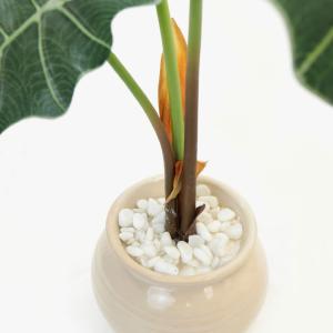 フェイクグリーン 観葉植物 人工観葉 卓上 ミ...の詳細画像3