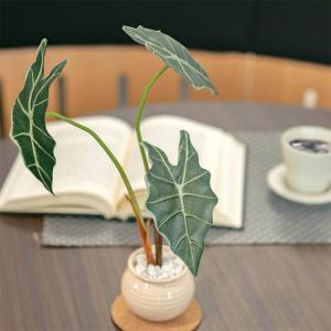 フェイクグリーン 観葉植物 人工観葉 卓上 ミ...の詳細画像4