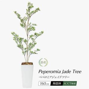 光触媒　人工観葉植物　ウォールグリーン　フェイクグリーン　カポック150 神戸花物語 フェイクグリーン 観葉植物 人工観葉 大型 光触媒