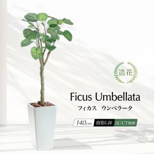 フェイクグリーン おしゃれ 人工観葉植物 光触媒 消臭 抗菌 大型 インテリア かわいい オシャレ 風水 北欧 日本製 / フィカス ウンベラータ 樹脂鉢L 140cm