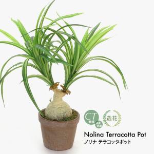 フェイクグリーン 観葉植物 人工観葉 卓上 ミニ...の商品画像
