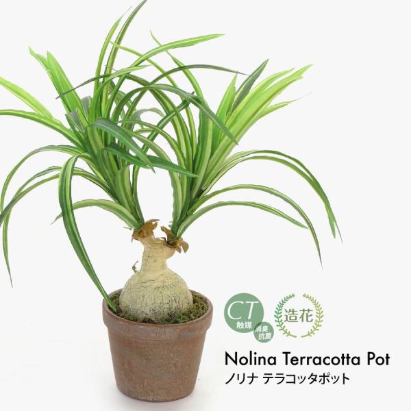 フェイクグリーン 観葉植物 人工観葉 卓上 ミニ 小さい 光触媒 リアル 造花 ノリナ テラコッタポ...