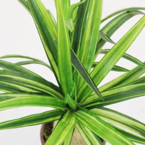 フェイクグリーン 観葉植物 人工観葉 卓上 ミ...の詳細画像2