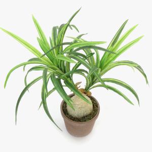 フェイクグリーン 観葉植物 人工観葉 卓上 ミ...の詳細画像3