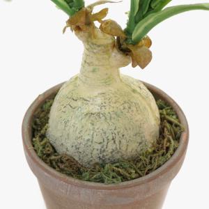 フェイクグリーン 観葉植物 人工観葉 卓上 ミ...の詳細画像4