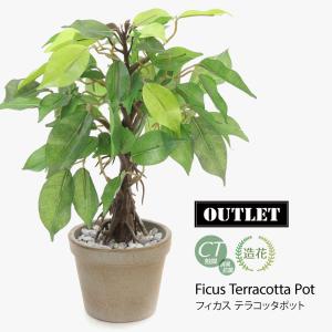 【新春初売り 特別価格】フェイクグリーン 卓上 ミニ 人工観葉植物 光触媒 消臭 インテリア おしゃれ / アウトレット 訳あり ミニ フィカス テラコッタポット