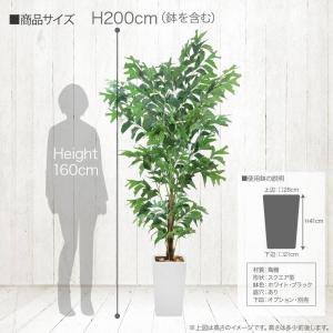 フェイクグリーン 観葉植物 人工観葉 大型 光...の詳細画像4